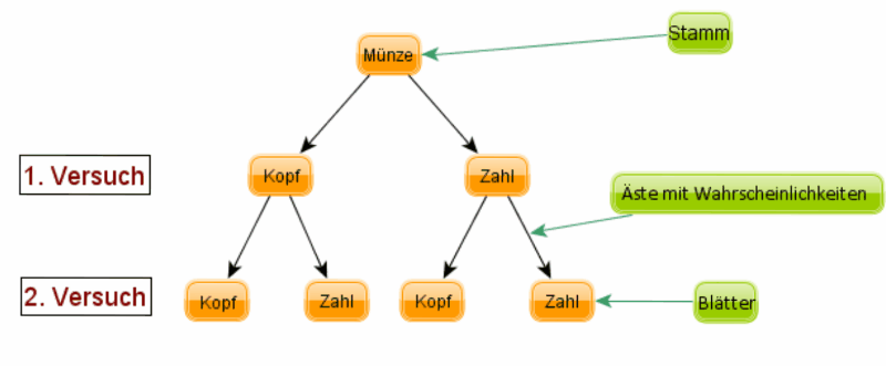 Baumdiagramm-versuch1.gif